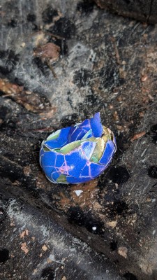 WhatsApp Bild 2025-10-15 um 22.33.31_0590b0bb.jpg